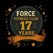 17 Year Logo
